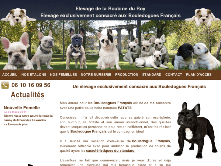 www.elevage-bouledogue-francais.com