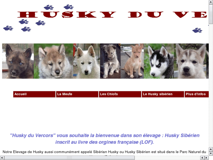 www.huskyduvercors.org