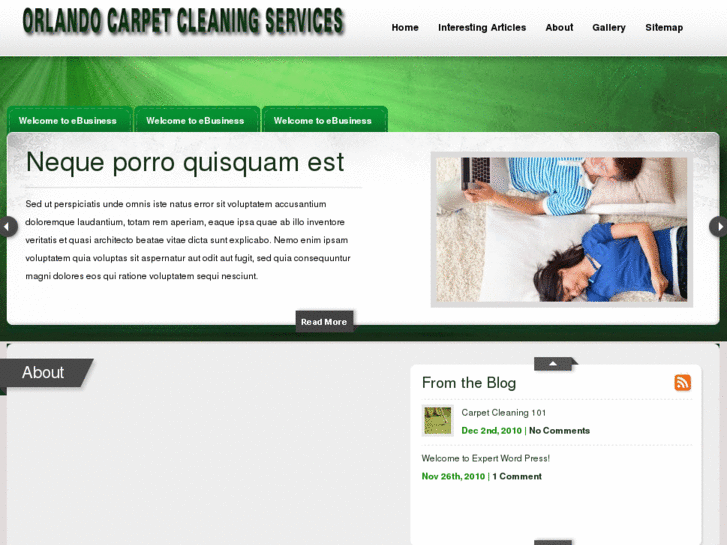 www.orlandocarpetcleaningservices.com