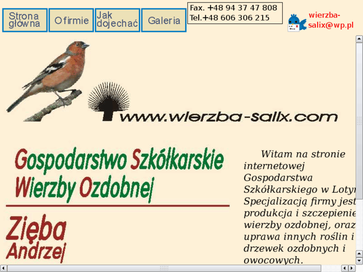 www.wierzba-salix.com