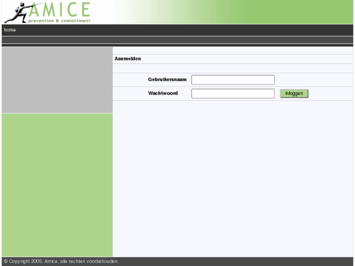 www.amice.net