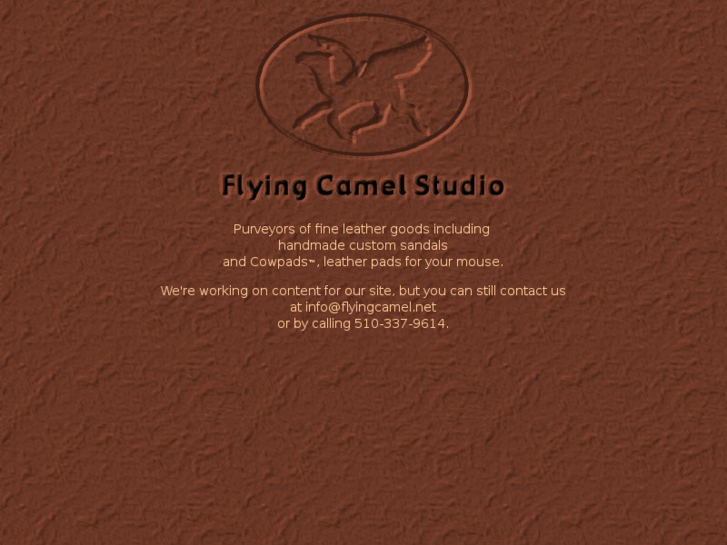 www.flyingcamel.net