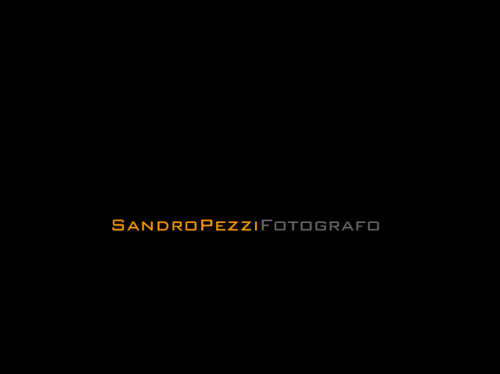 www.sandropezzi.com