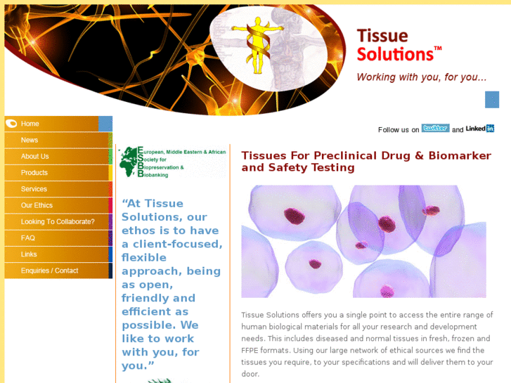 www.tissue-solutions.com