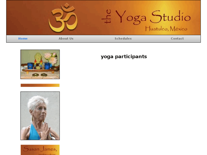 www.yogastudiomexico.com