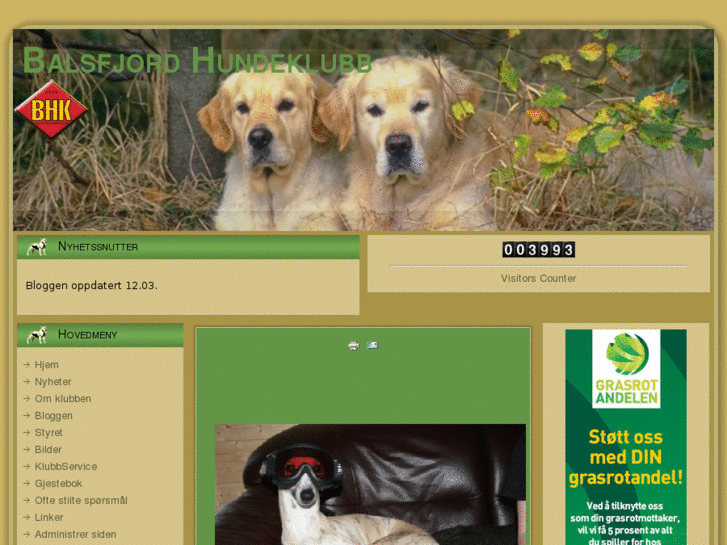 www.balsfjord-hundeklubb.com