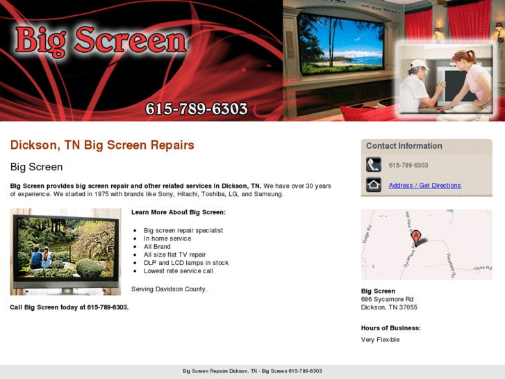 www.bigscreenrepair.net