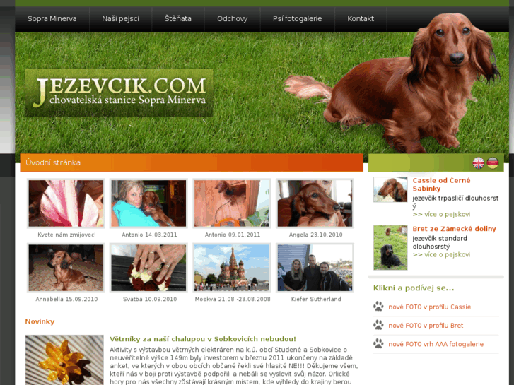 www.jezevcik.com