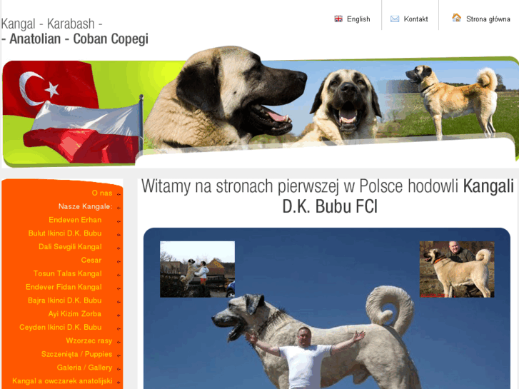 www.kangal.com.pl