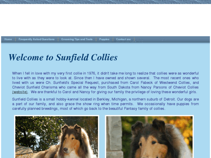 www.sunfieldcollies.com