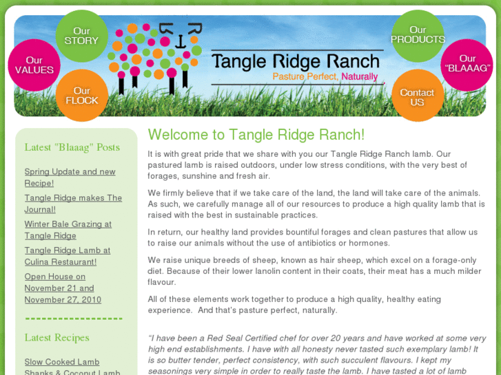 www.tangleridgeranch.com