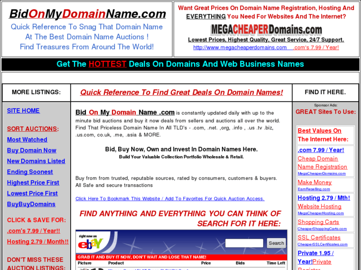 www.bidonmydomainname.com