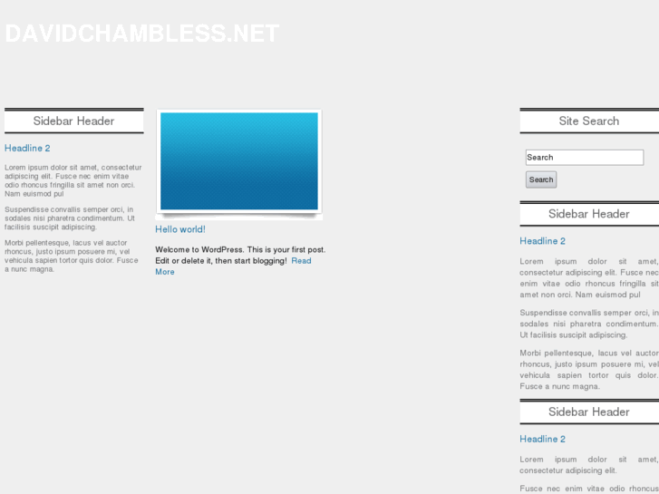www.davidchambless.net