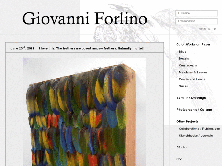 www.giovanniforlino.com