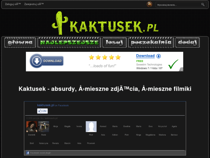 www.kaktusek.pl