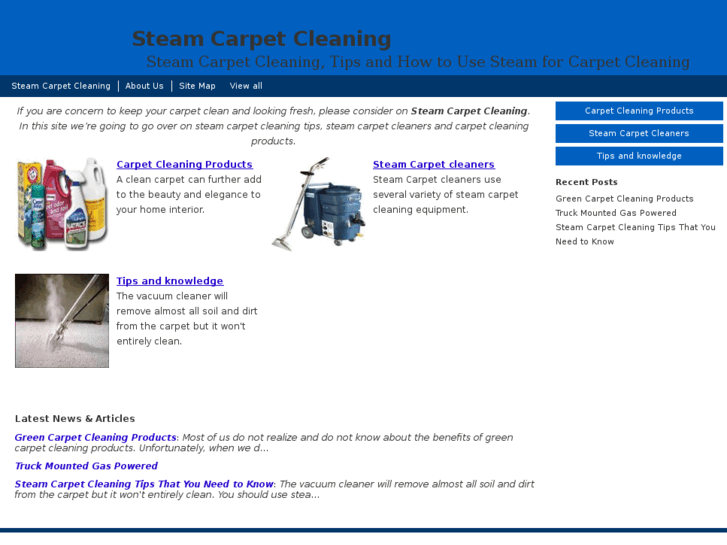 www.steamcarpetcleaning.org