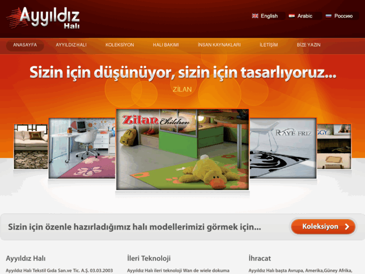 www.ayyildizcarpet.com