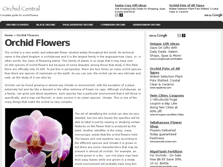 www.orchid-central.com