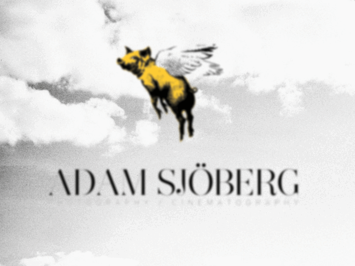 www.adamsjoberg.com