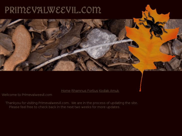 www.primevalweevil.com