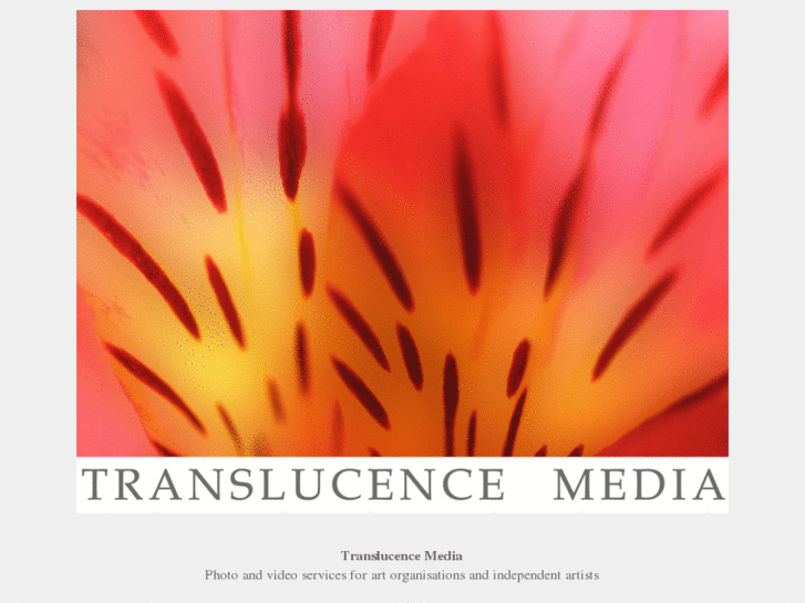www.translucence.ca