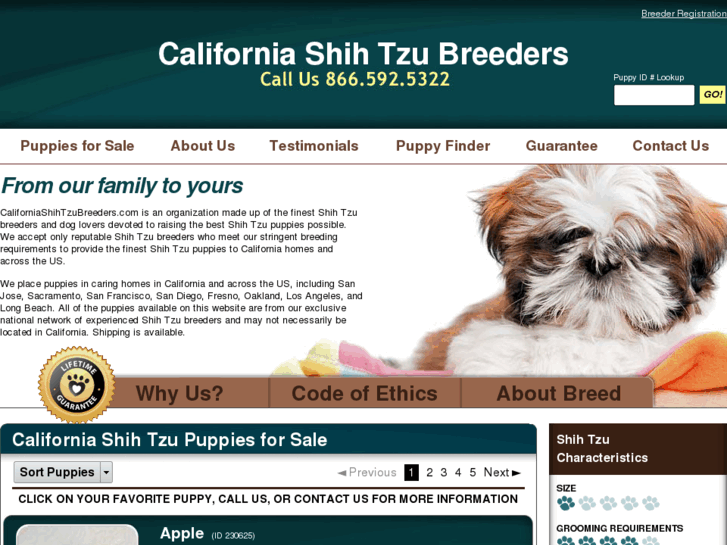 www.californiashihtzubreeders.com