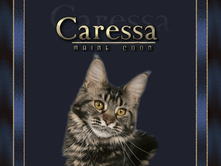 www.caressa.ru