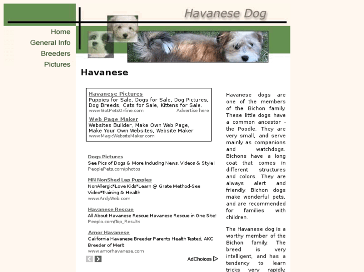 www.havanese-dogs.com