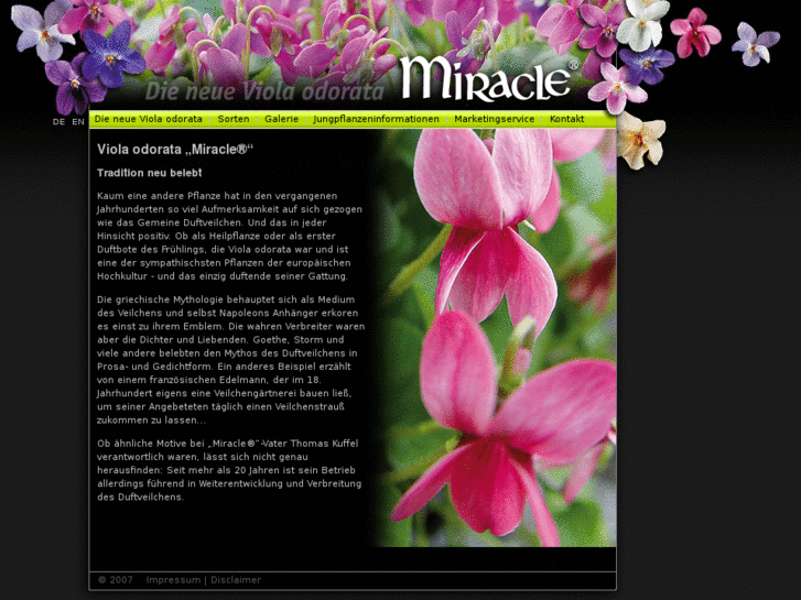 www.miracle-viola.com