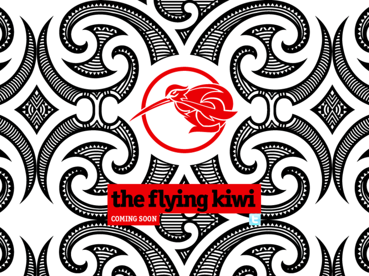 www.the-flying-kiwi.com