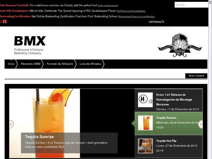 www.bartendersmexico.org