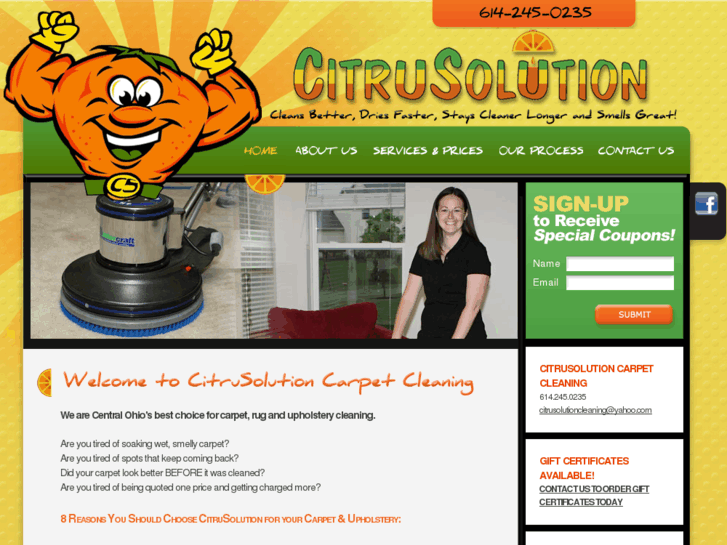 www.citruscarpet.com