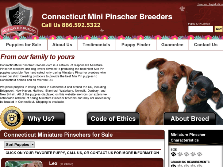 www.connecticutminipinscherbreeders.com