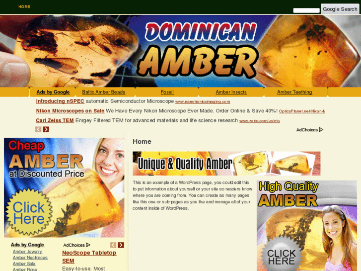 www.dominicanamber.com