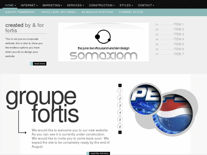 www.groupefortis.com