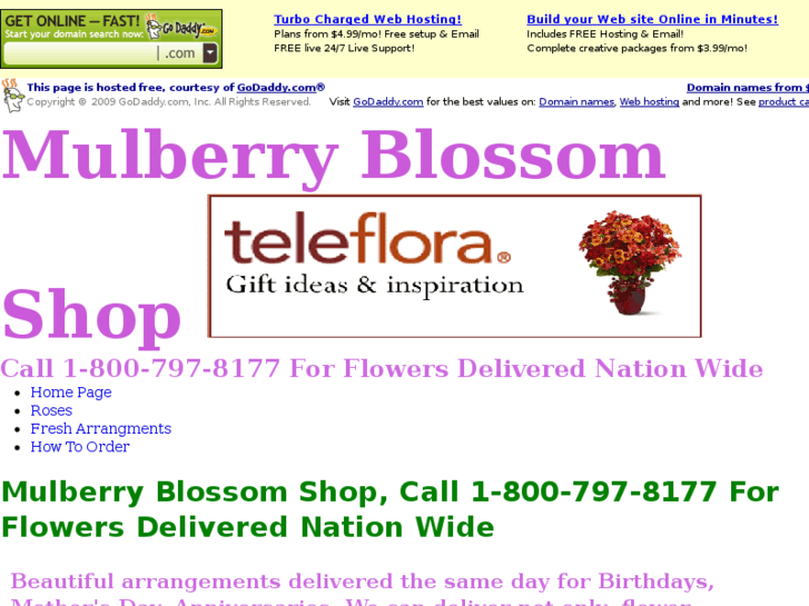 www.mulberryblossomshop.com