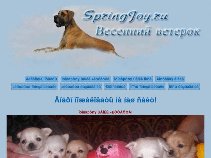 www.springjoy.ru