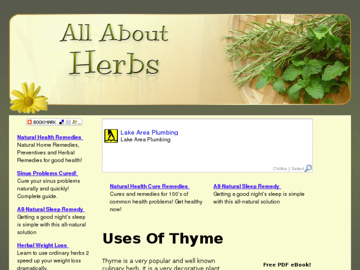 www.herbalremediesnet.com