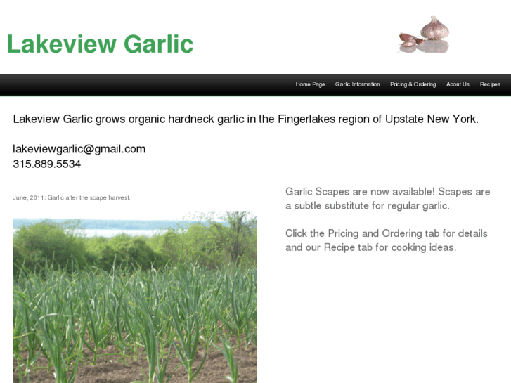 www.lakeviewgarlic.com