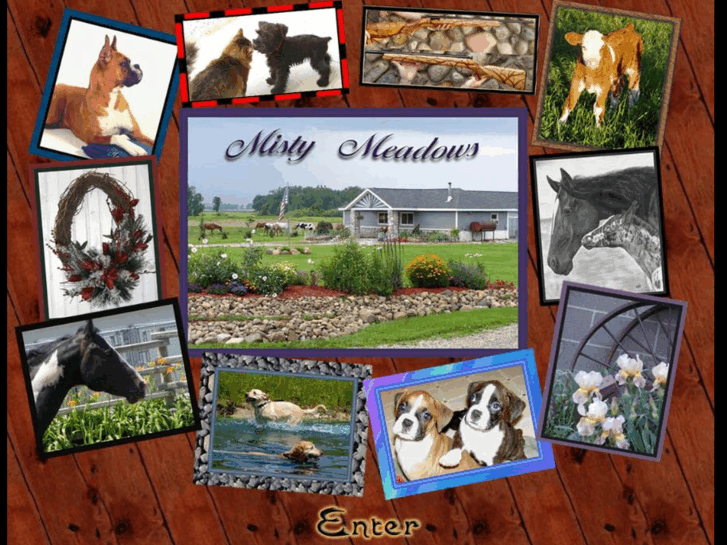 www.mistymeadowsfarmandkennel.com