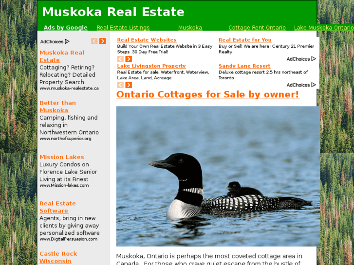 www.muskoka-realty.com