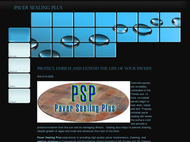 www.paversealingplus.com