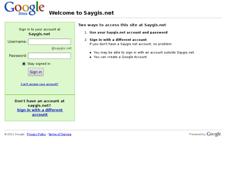 www.saygis.net