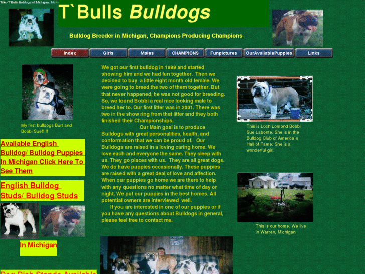 www.tbullsbulldogs.net