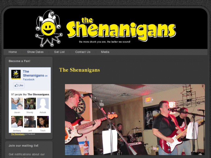 www.theshenanigansband.com