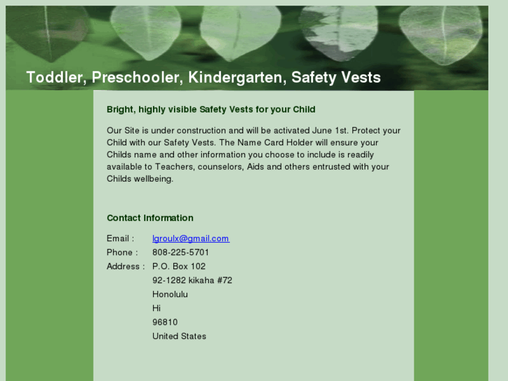 www.toddler-preschooler-kindergarten-gradeschool-safety-vest.com