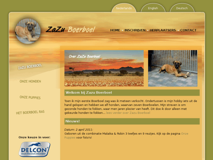 www.zazuboerboel.com