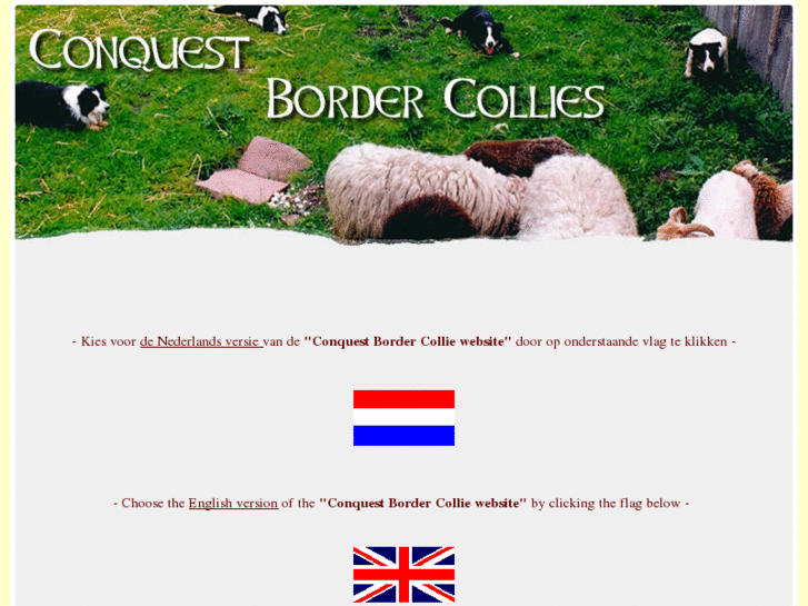 www.conquestbordercollies.nl