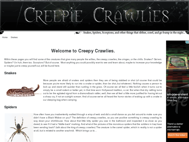 www.creepiecrawlies.com