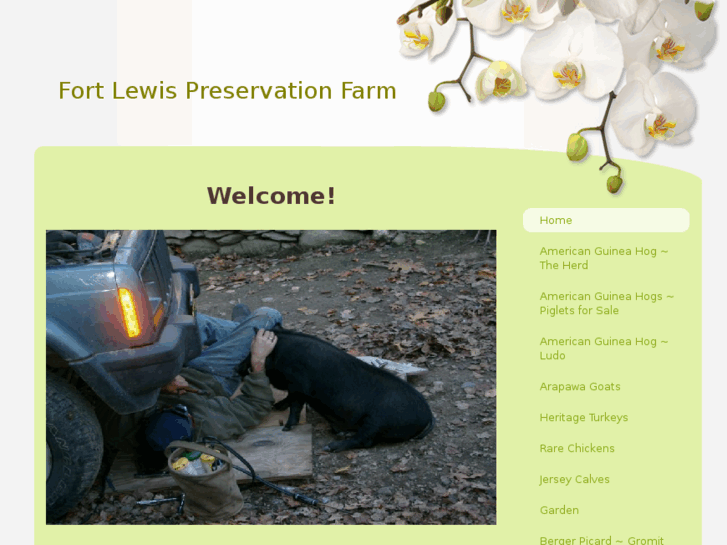 www.fortlewispreservationfarm.com